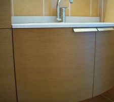 La "boulette" dans la salle de bains. Les trous pour mettre la poign&eacute;e de porte sont verticaux au lieu d'&ecirc;tre horizontaux.