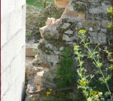 Fondation