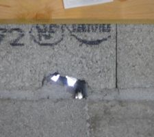 Pressé de partir en vacances on voit le jour