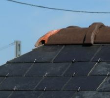 Voici un parfait exemple d'un travail fait a la va vite qui ne passera pas