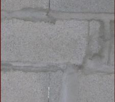 Pressé de partir en vacances on voit le jour