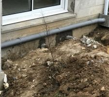 Bonjour à tous.
Nous avons été prévenu par notre terrassier concernant les sorties vidanges par rapport au tout à l'égout, apparemment notre constructeur n'a pas respecté la pente, on est -0,50. donc j'ai prévenu le constructeur qui est intervenu le lendemain avec le maçon.
Hier j'ai constaté que le maçon a casser le parpaing pour remonter les tuyaux. Est ce normale, le constructeur pourra t'il rattraper ce retard de pente? Nous commençons réellement à avoir peur de cette situation , sachant que la livraison est prévue mi-Janvier, Que me conseillez vous?