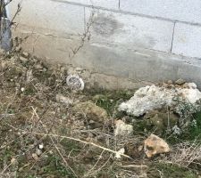 Bonjour à tous.
Nous avons été prévenu par notre terrassier concernant les sorties vidanges par rapport au tout à l'égout, apparemment notre constructeur n'a pas respecté la pente, on est -0,50. donc j'ai prévenu le constructeur qui est intervenu le lendemain avec le maçon.
Hier j'ai constaté que le maçon a casser le parpaing pour remonter les tuyaux. Est ce normale, le constructeur pourra t'il rattraper ce retard de pente? Nous commençons réellement à avoir peur de cette situation , sachant que la livraison est prévue mi-Janvier, Que me conseillez vous?