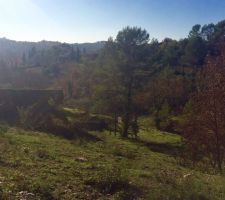 Notre futur terrain