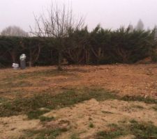 Arri&egrave;re du terrain avant terrassement (18/12/2016)