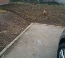 UNE VISITE INATTENDU ....