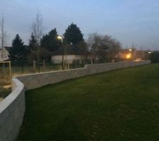 Accès latéral vers le jardin 
+ vue sur la clôture