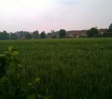 Vue depuis le s&eacute;jour