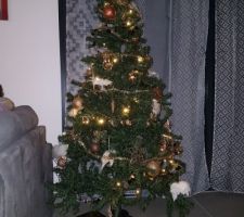 Notre 1er sapin chez nous!