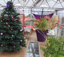 La terrasse en bois a été protégée par un revêtement vinyle ce qui rend plus propre et utilisable cette terrasse pour Noël 2016