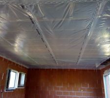 Membrane plafond doerken delta fol dbf