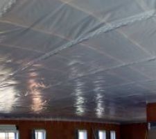 Membrane plafond doerken delta fol dbf