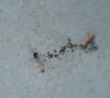 Pas tr&egrave;s cool !