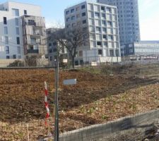 Un début du jardinage chez les voisins de derrière LOL