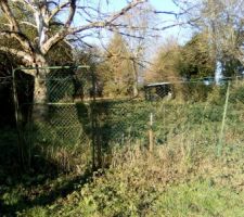 La pature : Après la cour, il y a la patûre. Avec un petit abris et quelques arbres dont un au premier plan qu'il va falloir abattre.
