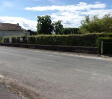 Terrain telle que nous l'avons acheté.