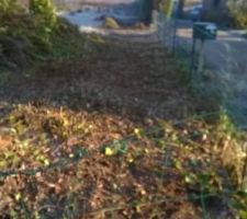 Apr&egrave;s 3 jours de travail et beaucoup de courbatures !