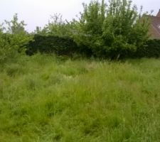 Voil&agrave; une partie de notre bout de pelouse