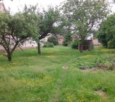 Notre terrain avant le d&eacute;but des travaux.