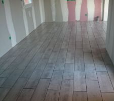 Carrelage mitation parquet