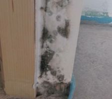 Moisissure sur les murs et ils voulait nous livrer comme ça ...