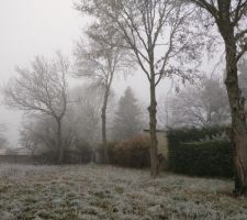 Chênes et hêtre le 31/12/16. Givre et brouillard.