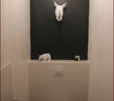 Toilette en abysse de chez ressources ... (teinte de gris) avec reflet blanc sur la tête de rhinocéros kare design.