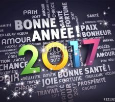 Bonne année 2017 et meilleurs voeux!