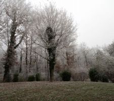 Photo au 1er janvier 2017.