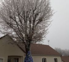 Photo au 1er janvier 2017.