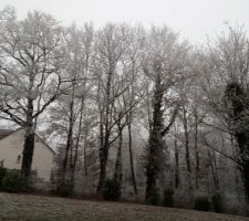 Photo au 1er janvier 2017.