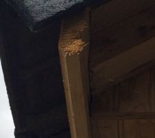 Une marquise qui nous ai factur&eacute; en avenant sur notre demande mais qui est horrible on se demande si le charpentier en avais deja fait ou si c'&eacute;tait une premi&egrave;re