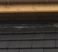 Une marquise qui nous ai facturé en avenant sur notre demande mais qui est horrible on se demande si le charpentier en avais deja fait ou si c'était une première