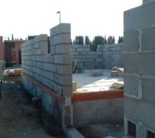 Qu'elle fut notre surprise hier en allant faire un tour sur le terrain !