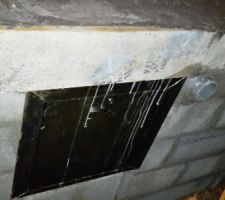 Trappe vide sanitaire