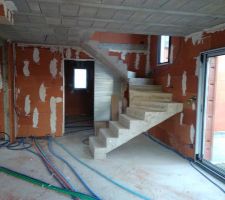 Les plaquistes oeuvrent au rdc aussi