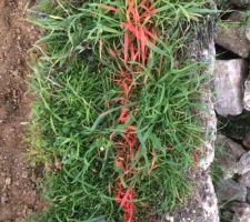 Nouveau trac&eacute; demand&eacute;: autant dire que le mur va tomber!