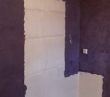 Buanderie - ancien espace avec meuble de rangement - Future douche