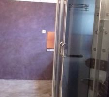 Buanderie - ancien espace avec douche
