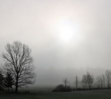 Décembre dans le brouillard, pratiquement tout le mois (du jamais vu)