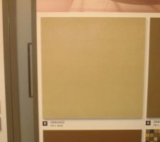 Carrelage pour la maison , bas , escalier couloir