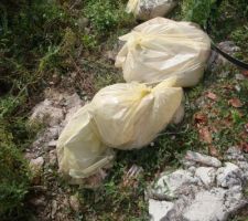 Gros travail avant la pause des fenêtres avec le nettoyage de la maison. Près de sept sacs de gravas et sciure de bois viré de l'étage mine de rien