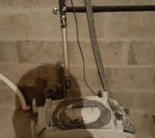 Pon&ccedil;euse girafe