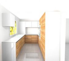 Prjet cuisine 04 1/2