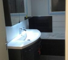 Meuble vasque + armoire murale sdb pos&eacute;s