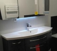 Meuble vasque + armoire murale sdb posés