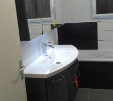 Meuble vasque + armoire murale sdb pos&eacute;s