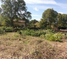 D&eacute;broussaillage du terrain