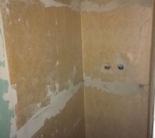 Mise en place natte d'étanchéité sur les murs de la douche avant carrelage