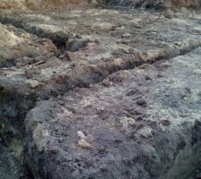 Terrassement 4 novembre 2016